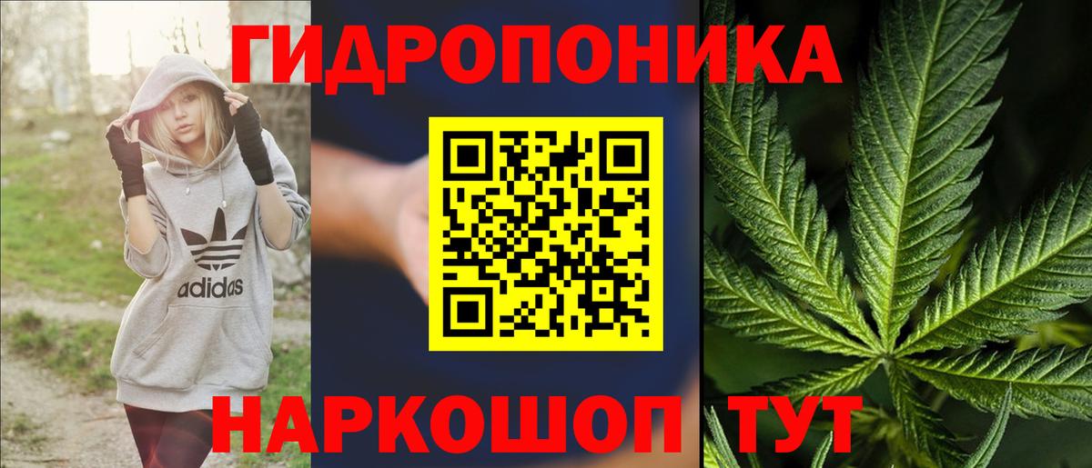 Канабис индика Александров