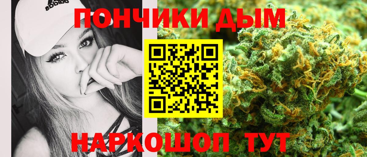 A PVP Александров